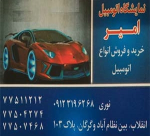 امیر نوری فرد